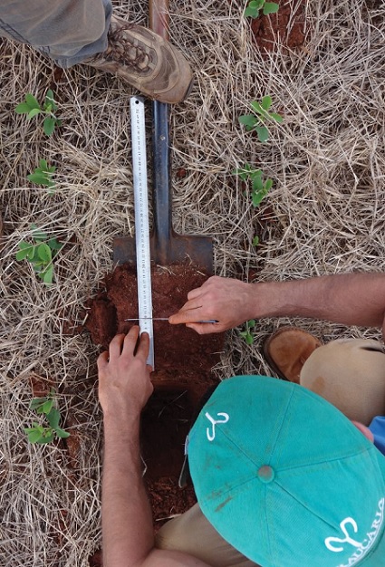 Researchers digging in soil
