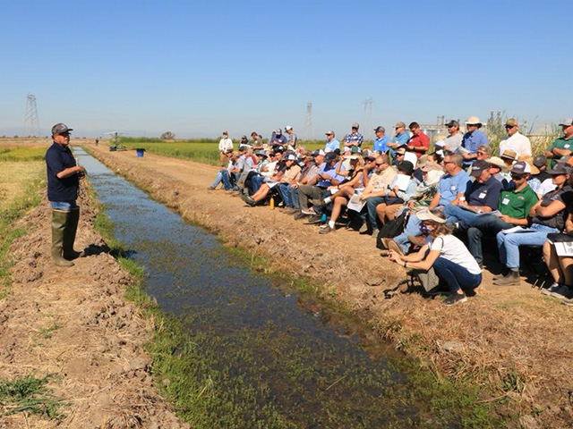 On the left, a man is talking in front of a rice field to people seated on the right, on the opposite side of an irrigation ditch.