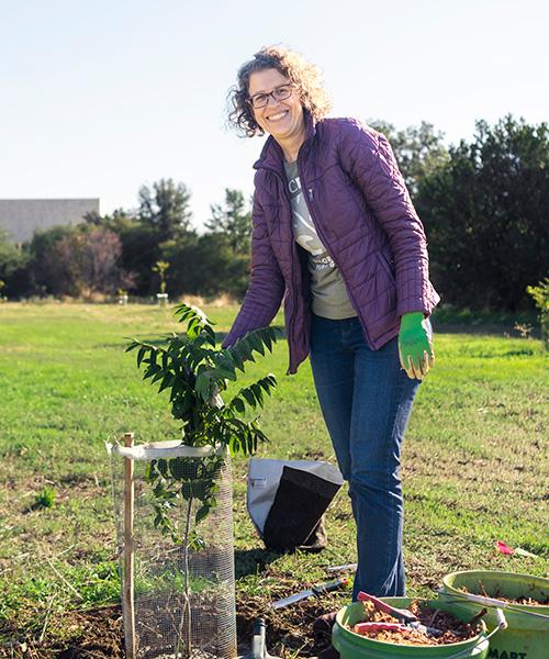 Woman standing in an open area of short, green grass. She's reaching down to a green tree sapling about 3 feet tall.