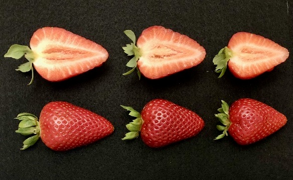 Three strawberries cut in half lengthwise
