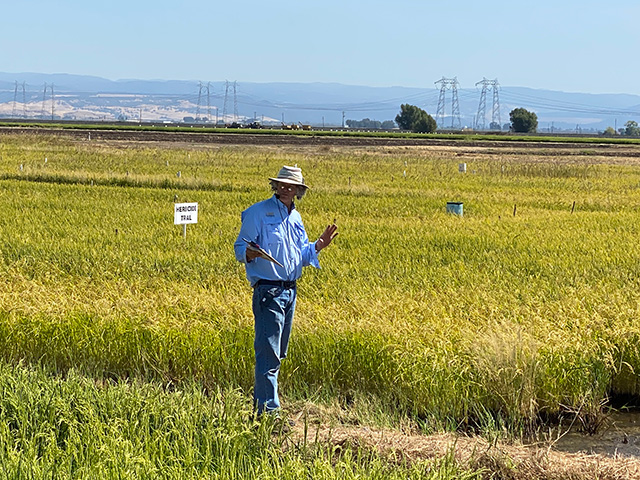 Man speaking in large field of tall green grassy plants. At the horizon are farm buildings, then mountains behind, blue sky above