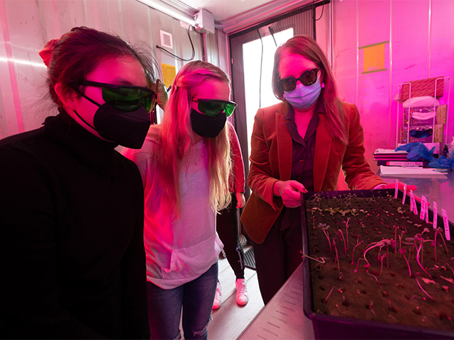 Three women inside a room, looking at a tray of seedlings. The light is pinkish.