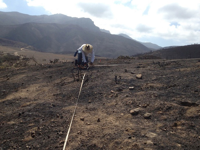 A medium-view of a blackened part of a mountain. A man squats down with long lines of plastic tape at angles.