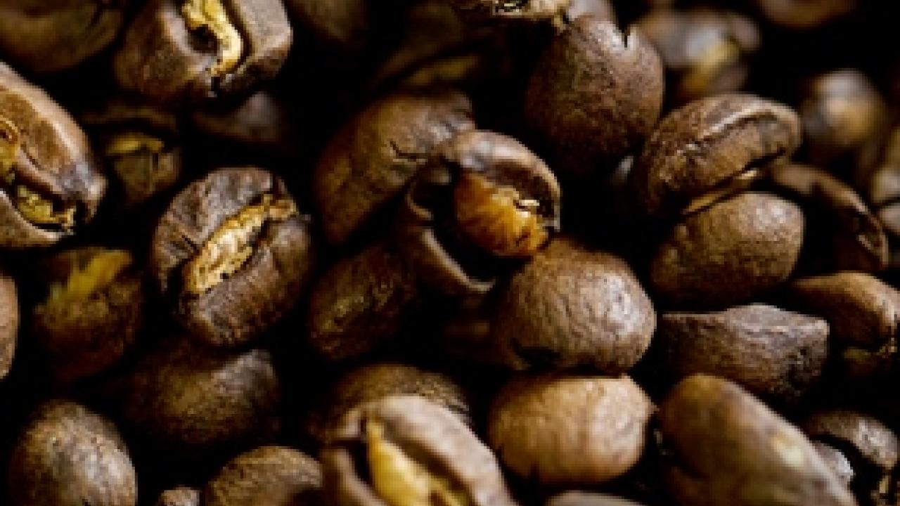 close-up photo of coffee beans