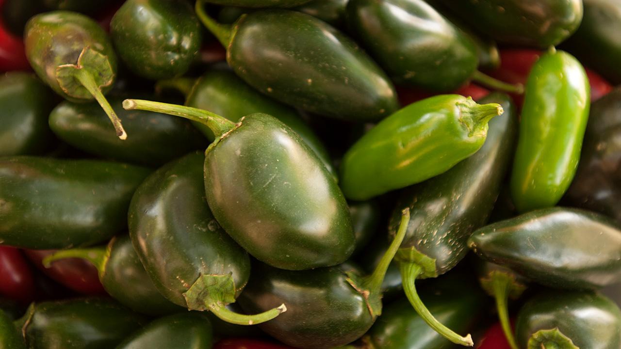 Close-up of fat green chile peppers