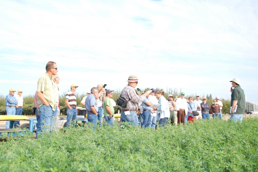 A group stands behind rows of alfalfa, focusing on a gentleman in green with a microphone on the far right
