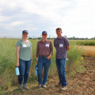 From left, UC Davis graduate students Taylor Becker and Kalyn Diederich, with Plant Sciences faculty member and Cooperative Extension specialist Mark Lundy, standing in front of Kernza (tall green plant), with wheat (shorter tan plant) in the back right.