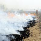 Burning of rice residues in SE Punjab, India, prior to the wheat season. (photo Neil Palmer/CIAT)