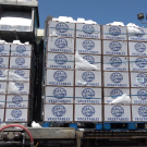 Boxes of vegetables being ice-cooled prior to shipment