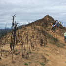 Students in a UC Davis fire ecology class walk along a burned ridge top of Stebbins Cold Canyon Natural Reserve in 2016. (photo Alexandra Weill, UC Davis)