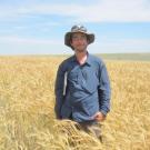 Josh Hegarty stands in the middle of a dry triticale field, which reaches up to his waist. 