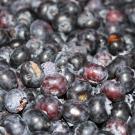 close-up of round purplish dark fruit, a lot of it